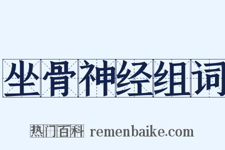 坐骨神经组词是什么意思的图片